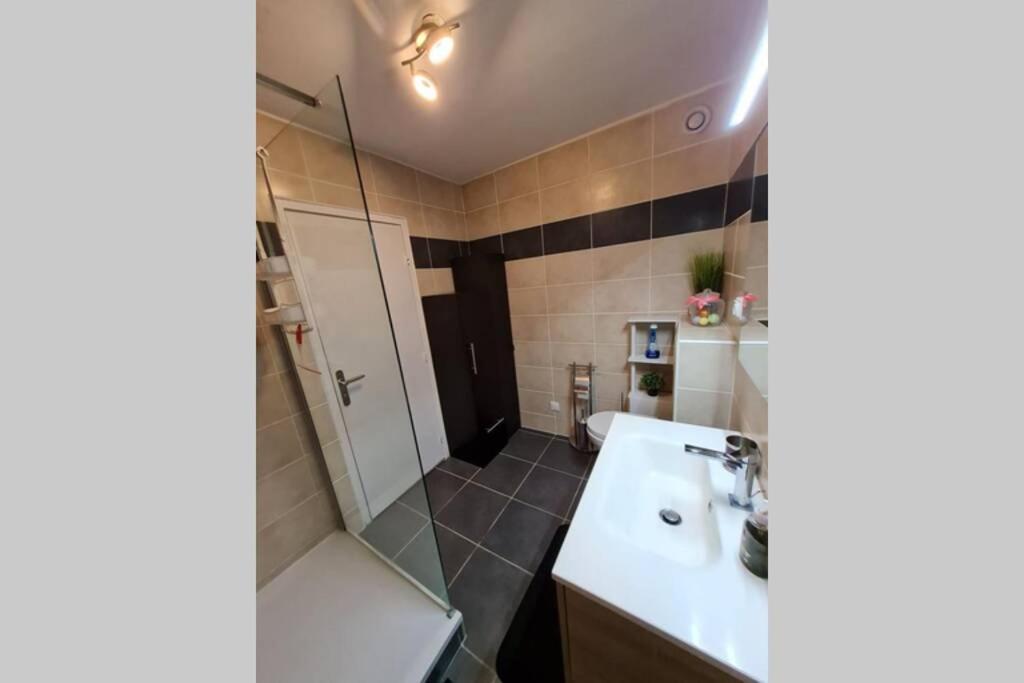Chez Romain, Appartement Proche Commerces Et Centre Ville Avec Wifi Verdun-sur-Meuse Bagian luar foto